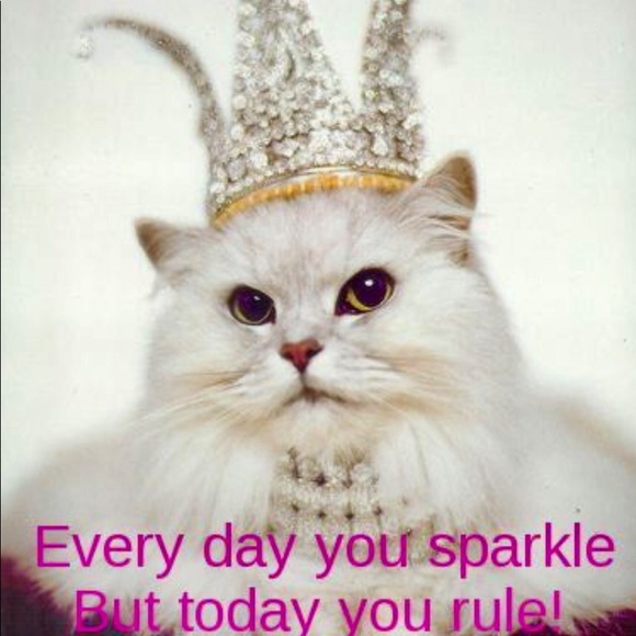 DON'T FORGET TO PAY FOR YOUR BUNDLES AND SAVE 💰💰 - Picture 2 of 3